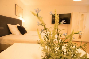 Zwischen Schönbrunn und dem City Center. Apt. 41
